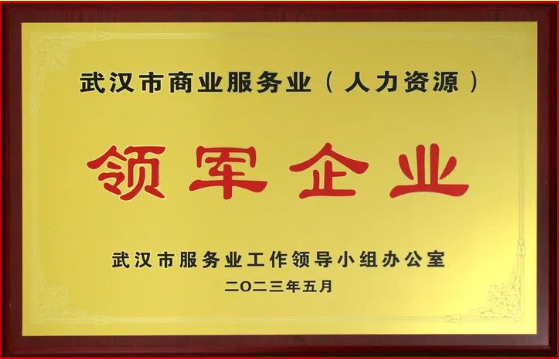 喜報(bào)丨熱烈祝賀騰飛人才榮獲武漢市服務(wù)業(yè)領(lǐng)軍企業(yè)稱號(hào)